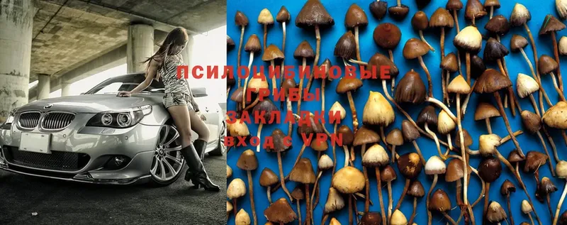 Псилоцибиновые грибы Magic Shrooms Сорск